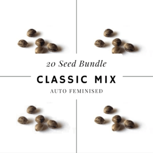 Classic Mix Auto Feminised cannabis seed bundle