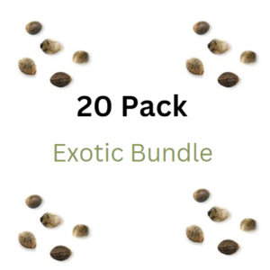 Exotic Bundle Pack - Feminized Cannabis Seeds