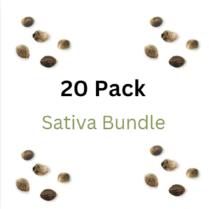 Sativa Bundle Pack - Fem & Auto Fem Cannabis Seeds