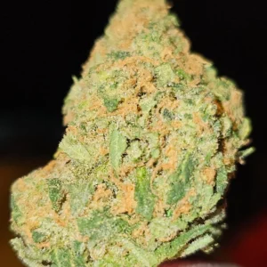 Auto Lime Skunk Feminized